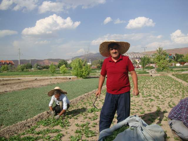 دوستان آقای جوادپیمان